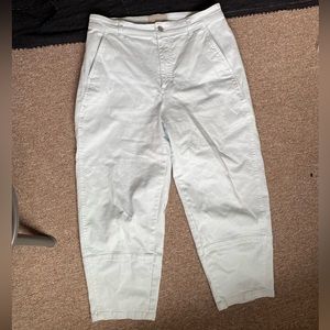 Everlane Barrel Leg Pant Blue